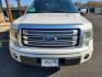 2014 White /Black Ford F-150 Platinum (1FTFW1CFXEF) with an 5.0L V-8 FFV engine, 6-Speed Automatic Electronic transmission, located at 1600 E Hwy 44, Rapid City, SD, 57703, (605) 716-7878, 44.070232, -103.171410 - Photo#1